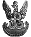 Orze� KEDYW